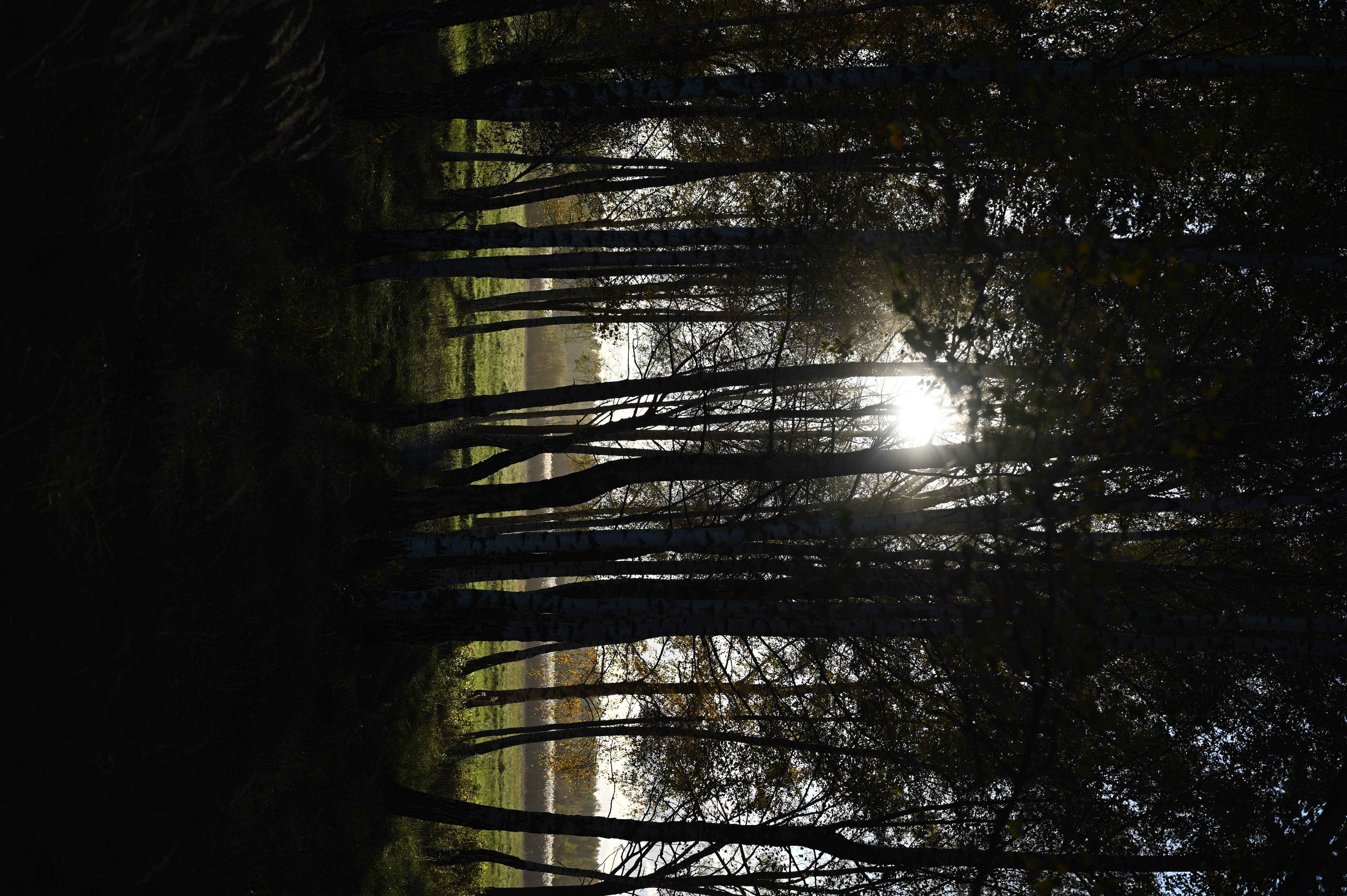 2025/10/18 - walk/DSC_0143.JPG